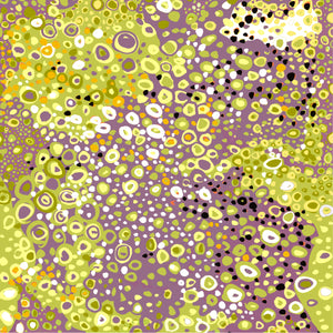 Fabrics Designed by Kayla Kennington